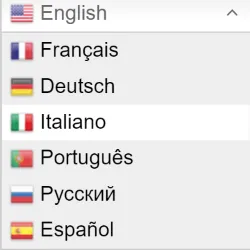 Translate with GTranslate